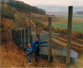 border 1991 03